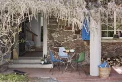 Vitra Sedia Eames DSR, Forest - Cromo - Cuscino Ivory/forest -Sedie negozio 2796053 Eames Plastic Side Chair DSR Seat Dots master