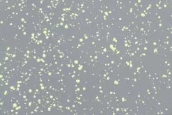 Hem Sgabello Last, Grigio - Schizzi Lime -Sedie negozio 30564 Last Stool Grey Lime Splatter 05