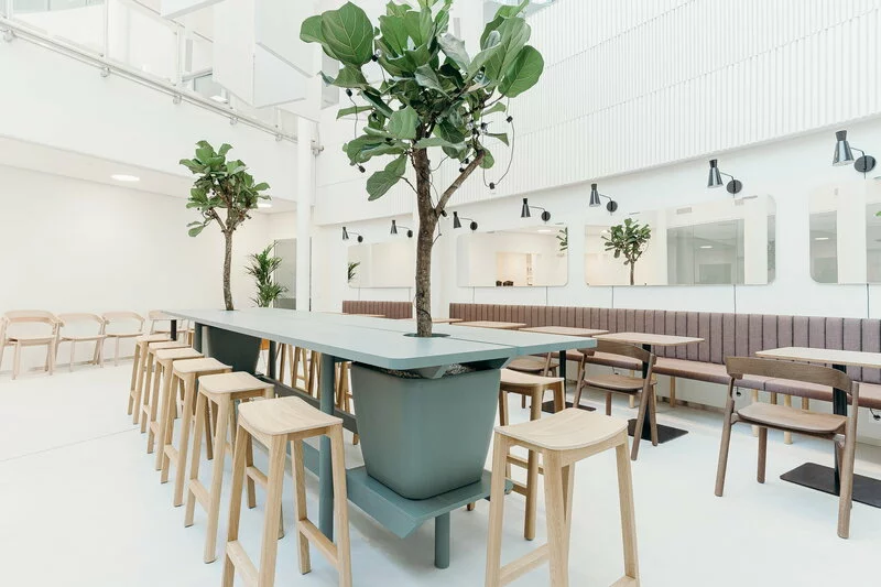 Made By Choice Sgabello Da Bar Halikko, 66 Cm, Rovere 3 Made By Choice Sgabello Da Bar Halikko, 66 Cm, Rovere - immagine 3