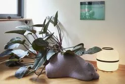 Vitra Resting Bear, Mauve -Sedie negozio Resting Bear2C Resting Animals2C Accessories in situ shooting 2018 2342499 master