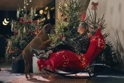 Fatboy Poltrona Sacco Original, Rossa -Sedie negozio X mas afterparty 22