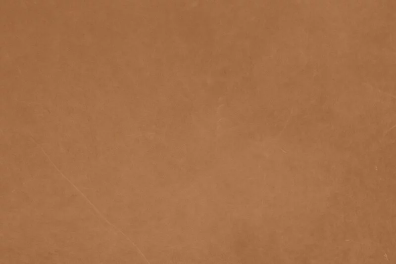 NORR11 Poltrona Mammoth, Rovere Affumicato - Pelle Dunes Camel 21004 2 NORR11 Poltrona Mammoth, Rovere Affumicato - Pelle Dunes Camel 21004 - immagine 2