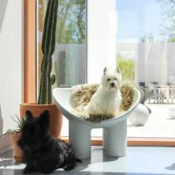 Driade Poltrona Roly Poly, Cemento -Sedie negozio rolypoly3